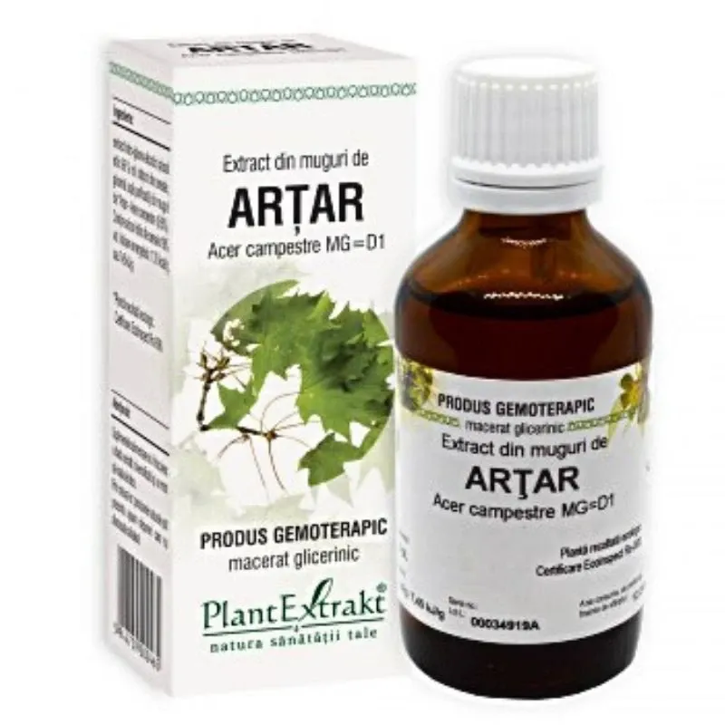 PLE Extract din Muguri de artar