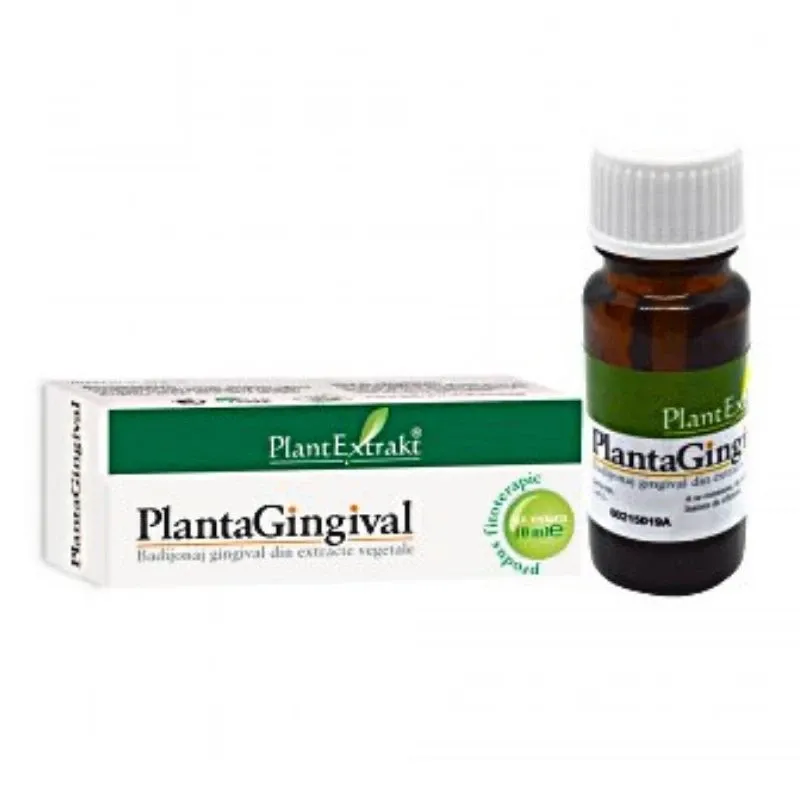 PLE Plantagingival