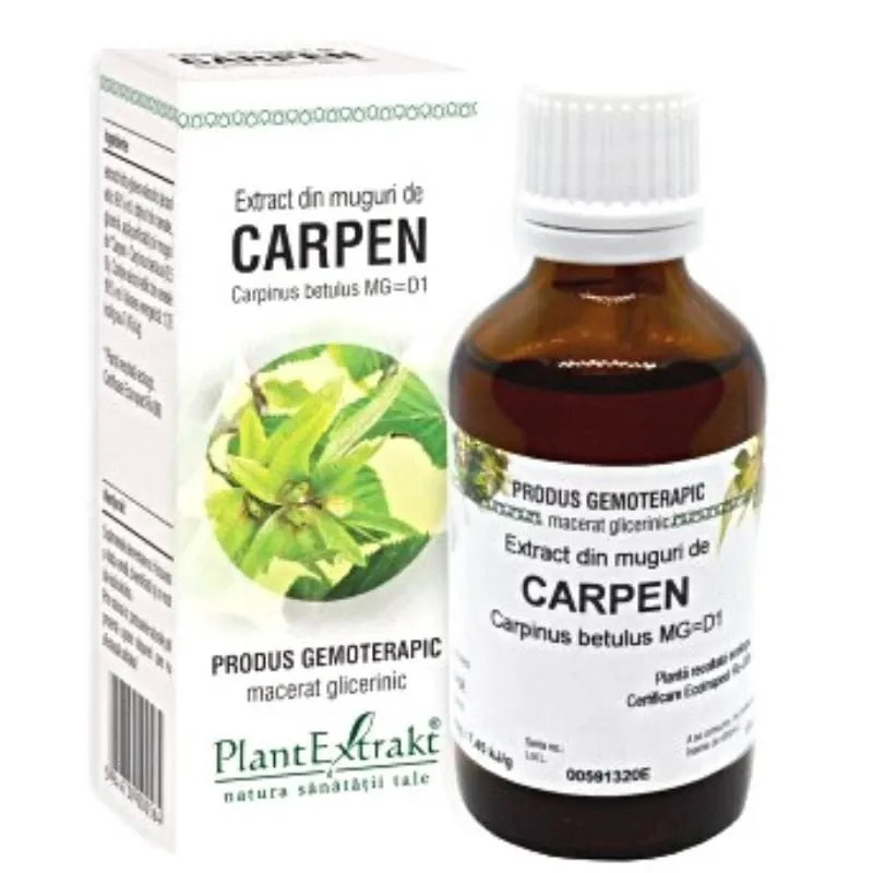 PLE Extract Muguri carpen