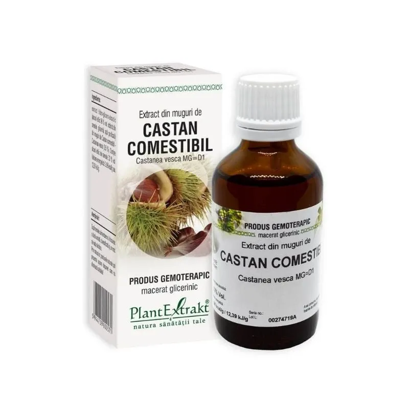 Extract din muguri de CASTAN COMESTIBIL