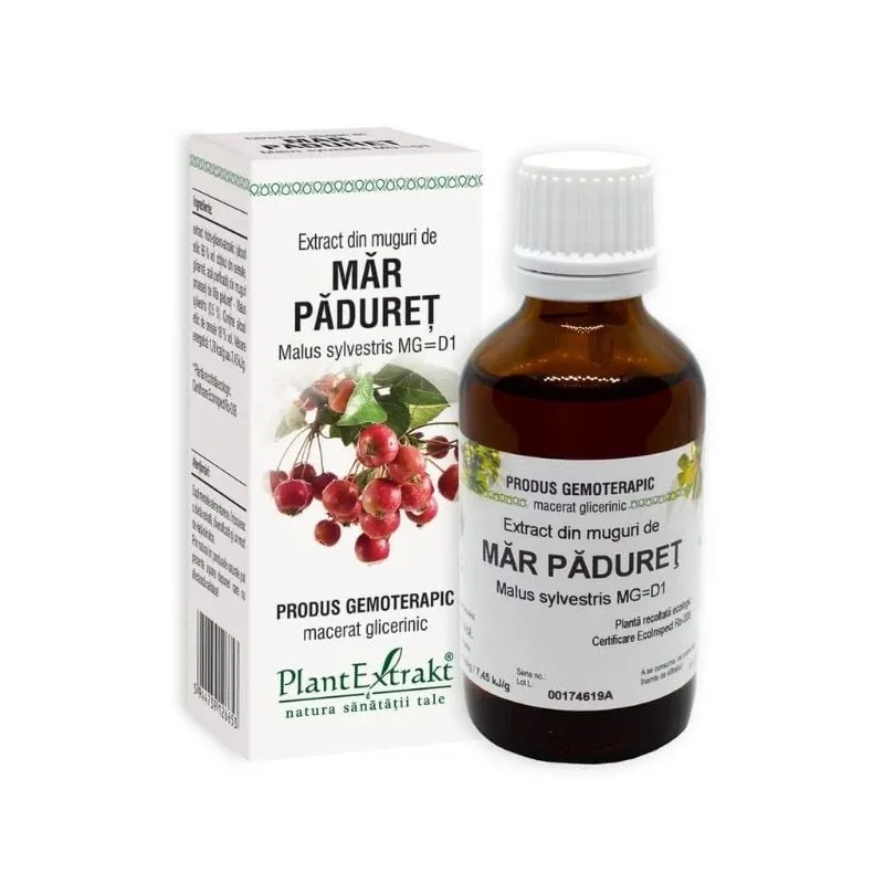 Extract din muguri de MAR PADURET