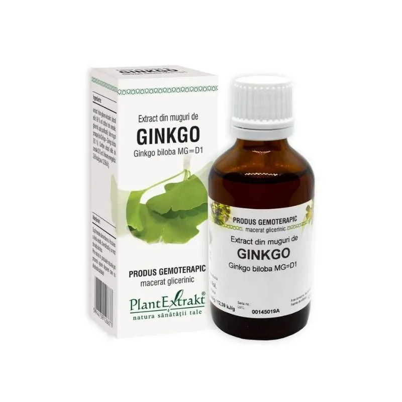 Extract din muguri de GINKGO