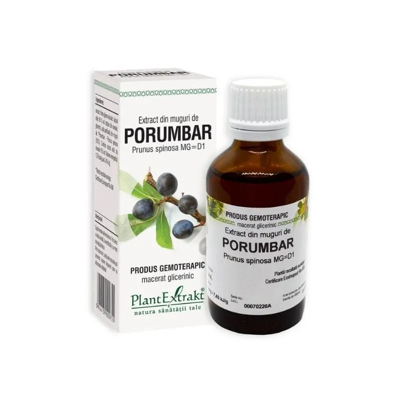 Extract din muguri de PORUMBAR
