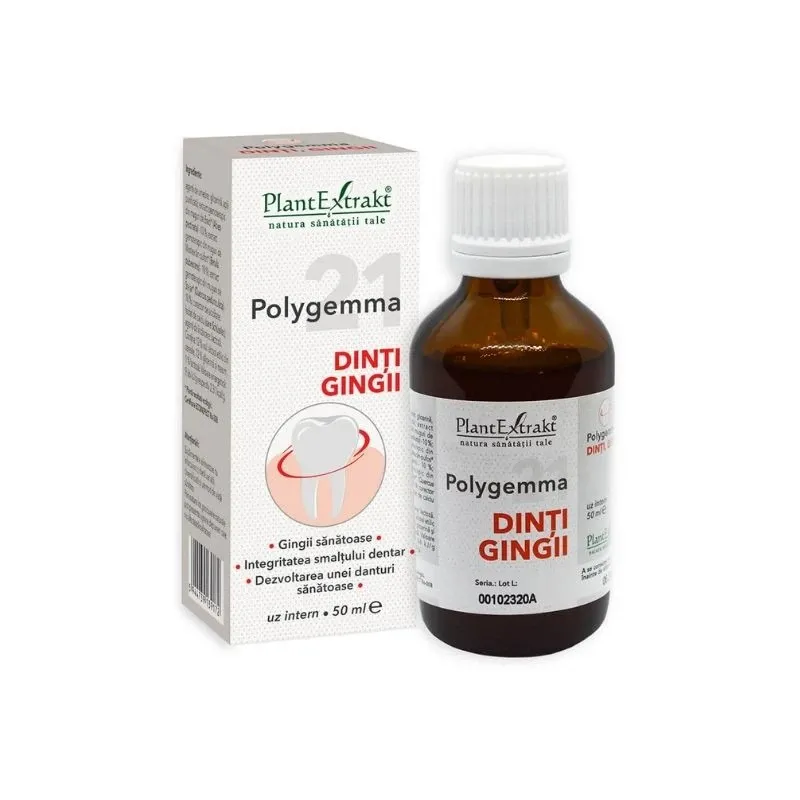 Polygemma 21 - Dinti