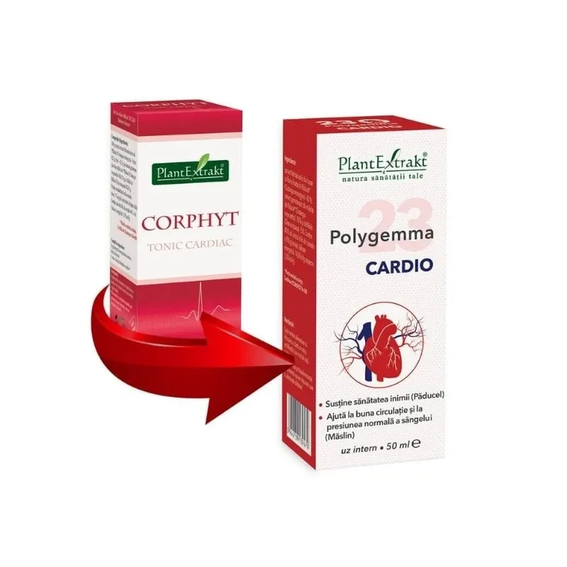Polygemma 23 - Cardio