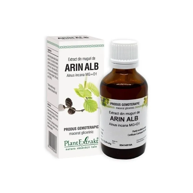 Extract din muguri de ARIN ALB