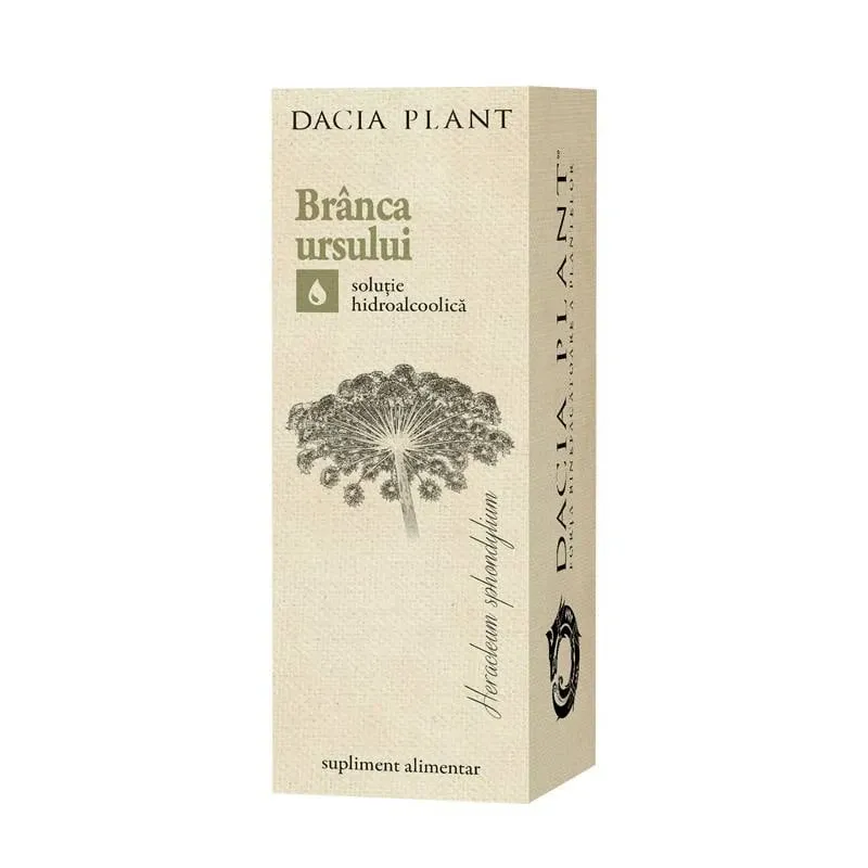 Dacia Plant Tinctura branca ursului
