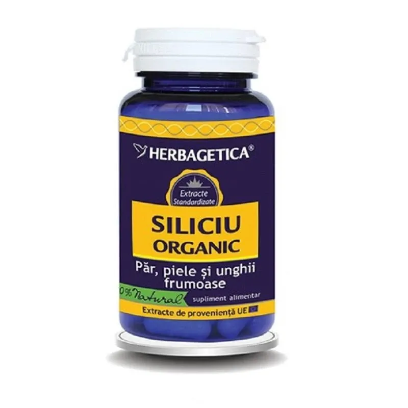 Siliciu organic