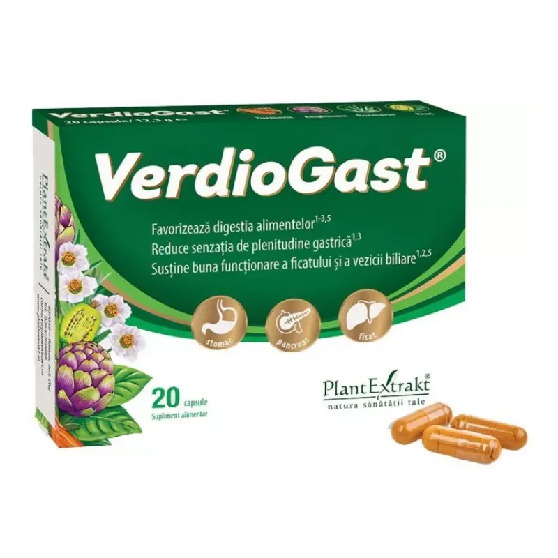 VerdioGast
